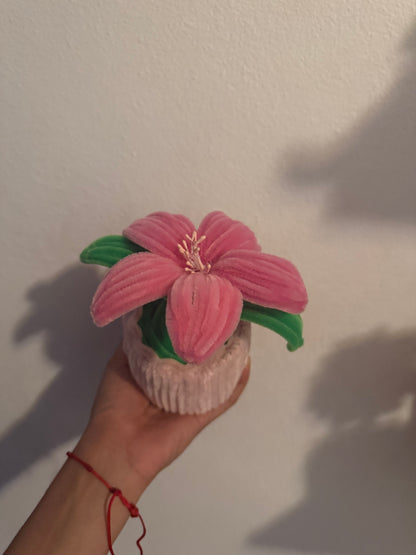 RAMOS DE FLORES